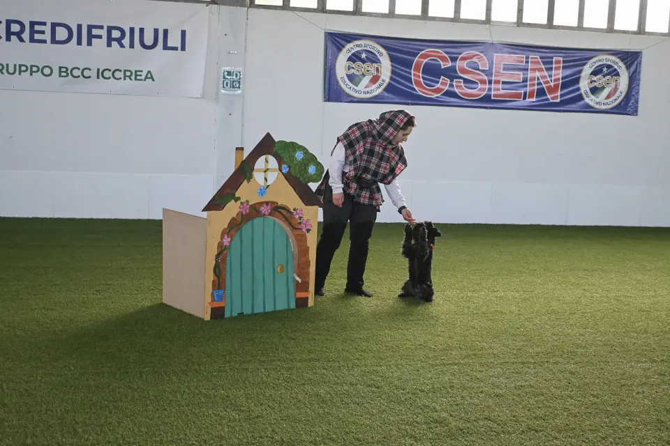 Foto GEM DOG A.S.D.: Prova di gara di dog dance, Leproso, 15 febbraio 2026, foto 15 di 33