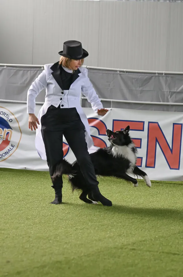 Foto GEM DOG A.S.D.: Prova di gara di dog dance, Leproso, 15 febbraio 2026, foto 17 di 33