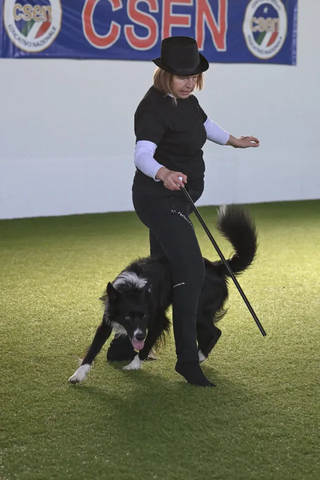 Foto GEM DOG A.S.D.: Prova di gara di dog dance, Leproso, 15 febbraio 2026, foto 18 di 33