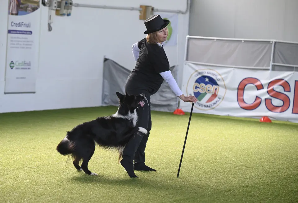 Foto GEM DOG A.S.D.: Prova di gara di dog dance, Leproso, 15 febbraio 2026, foto 23 di 33