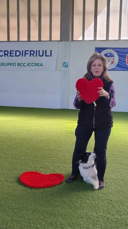 Foto GEM DOG A.S.D.: Prova di gara di dog dance, Leproso, 15 febbraio 2026, foto 29 di 33