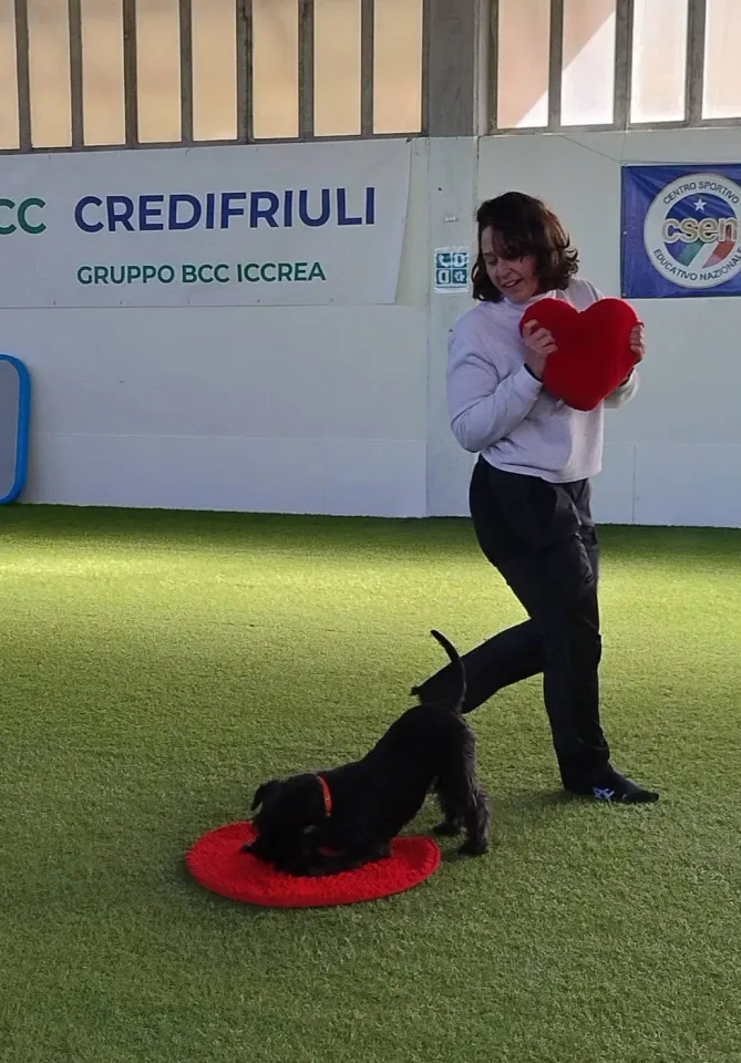 Foto GEM DOG A.S.D.: Prova di gara di dog dance, Leproso, 15 febbraio 2026, foto 30 di 33