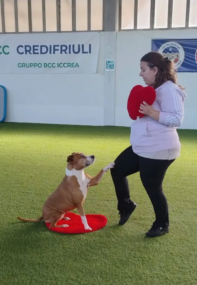 Foto GEM DOG A.S.D.: Prova di gara di dog dance, Leproso, 15 febbraio 2026, foto 31 di 33