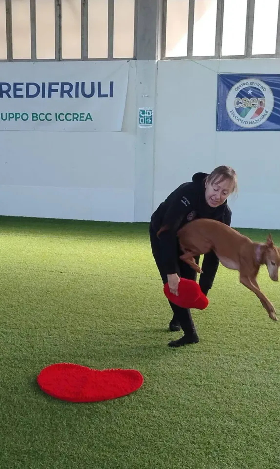 Foto GEM DOG A.S.D.: Prova di gara di dog dance, Leproso, 15 febbraio 2026, foto 33 di 33