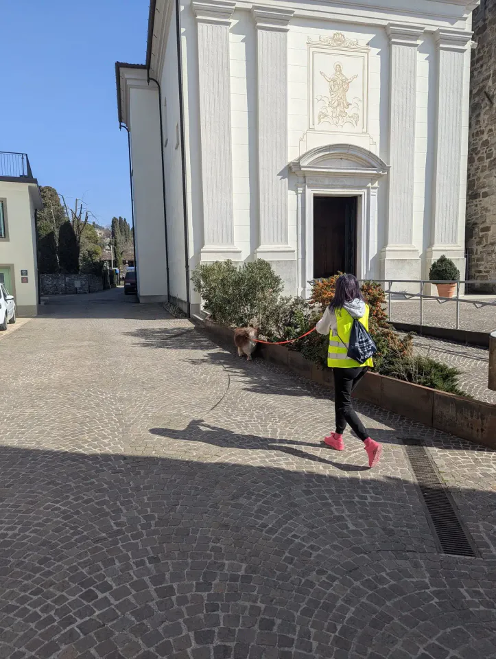 Foto GEM DOG A.S.D.: Allenamento di mantrailing, 7 marzo 2026, foto 3 di 11