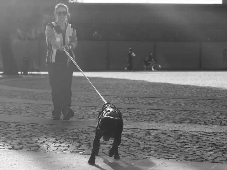 Foto GEM DOG A.S.D.: Allenamento di mantrailing, 7 marzo 2026, foto 5 di 11
