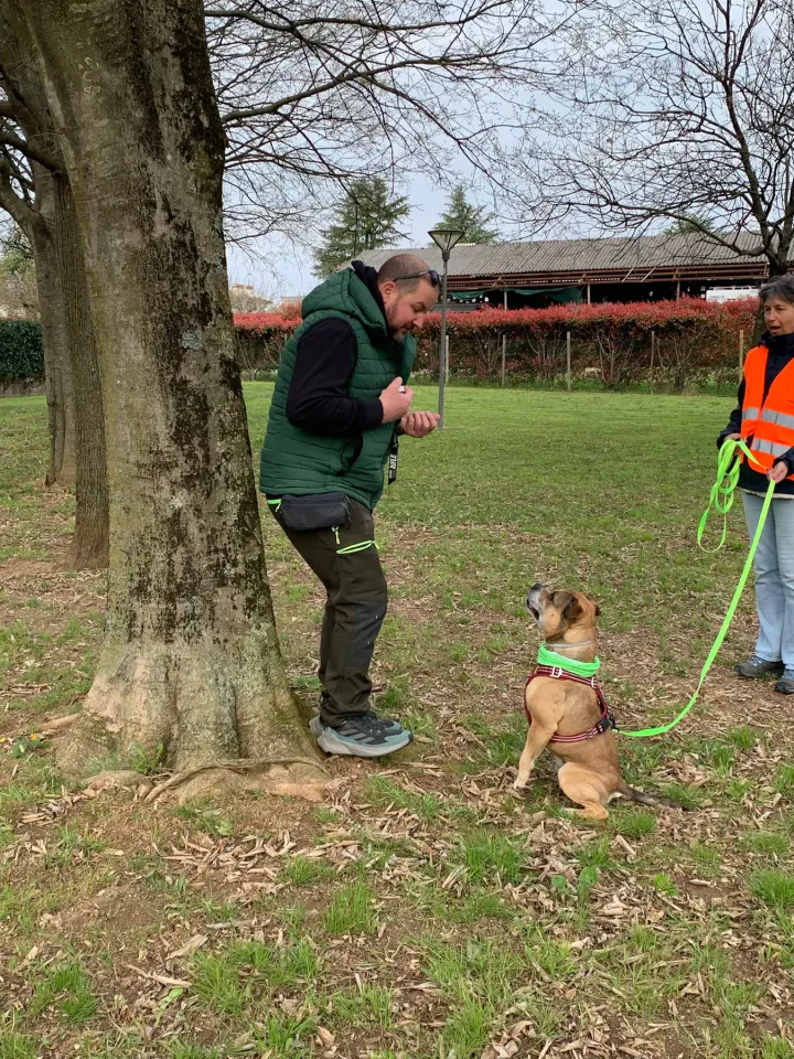 Foto GEM DOG A.S.D.: Allenamento di mantrailing, 21 marzo 2026, foto 6 di 14