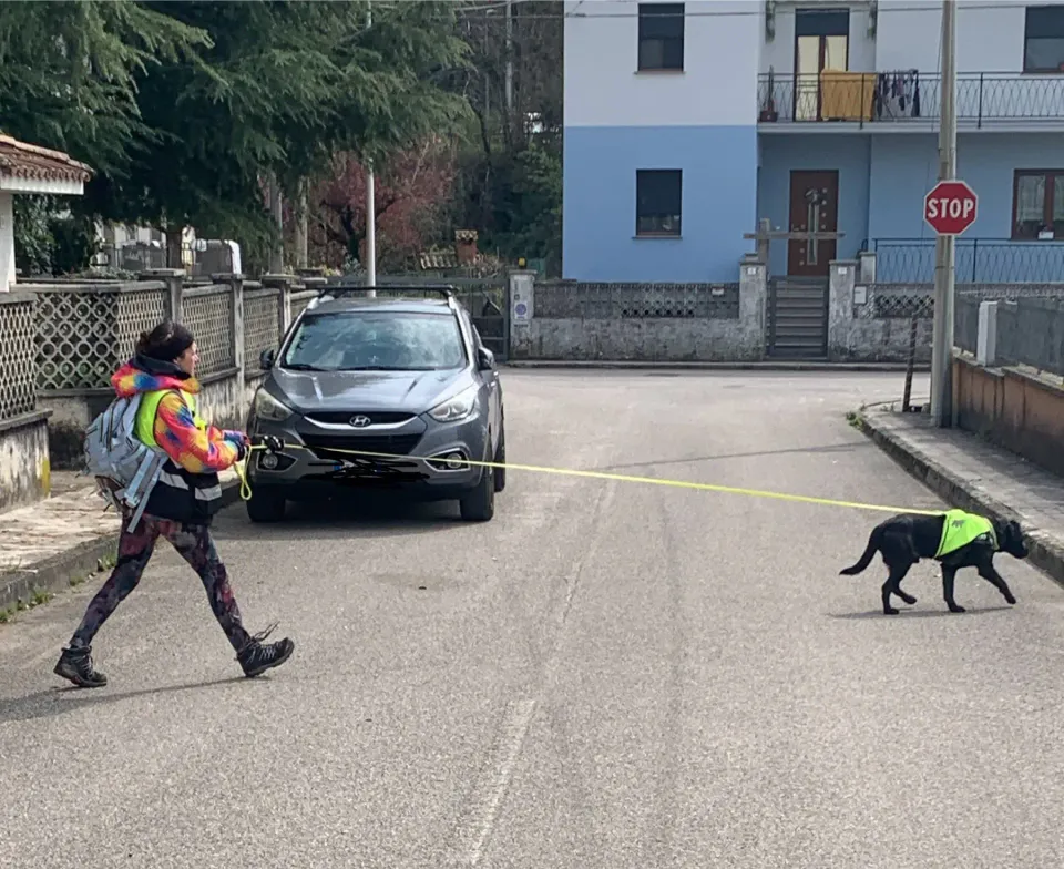 Foto GEM DOG A.S.D.: Allenamento di mantrailing, 21 marzo 2026, foto 8 di 14