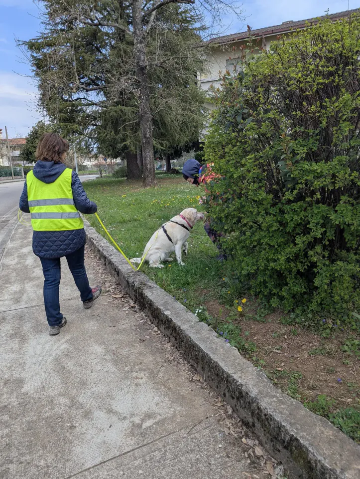 Foto GEM DOG A.S.D.: Allenamento di mantrailing, 21 marzo 2026, foto 10 di 14