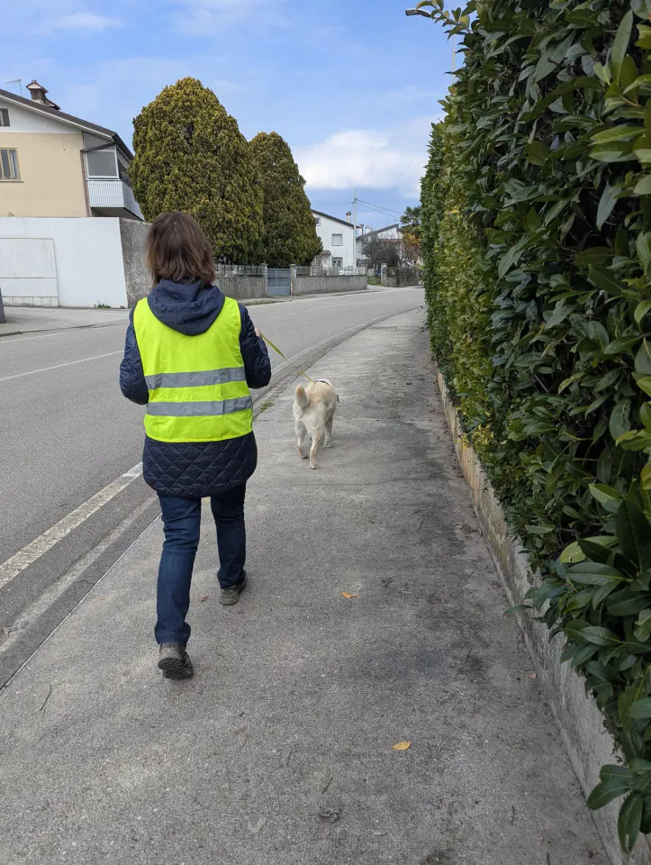 Foto GEM DOG A.S.D.: Allenamento di mantrailing, 21 marzo 2026, foto 12 di 14