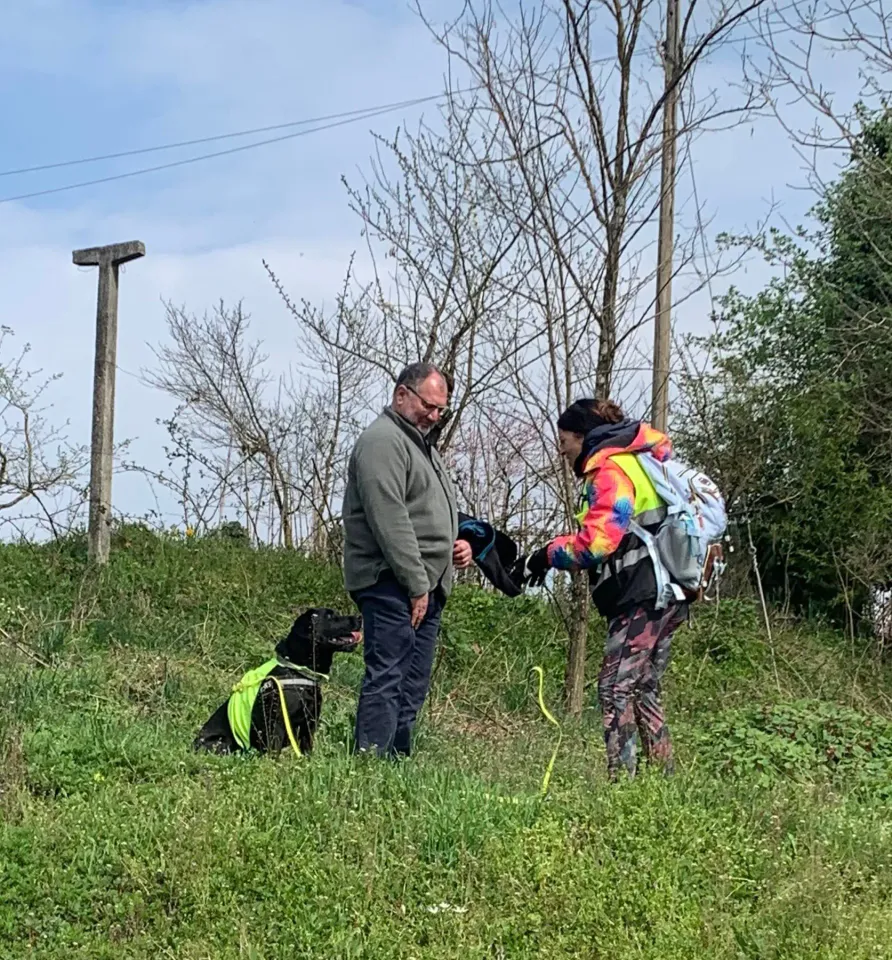 Foto GEM DOG A.S.D.: Allenamento di mantrailing, 21 marzo 2026, foto 14 di 14