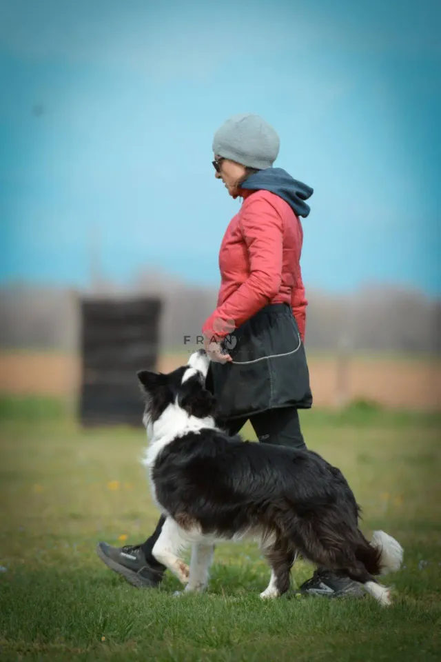 Foto GEM DOG A.S.D.: Gara di rally obedience, 22 marzo 2026, foto 1 di 4