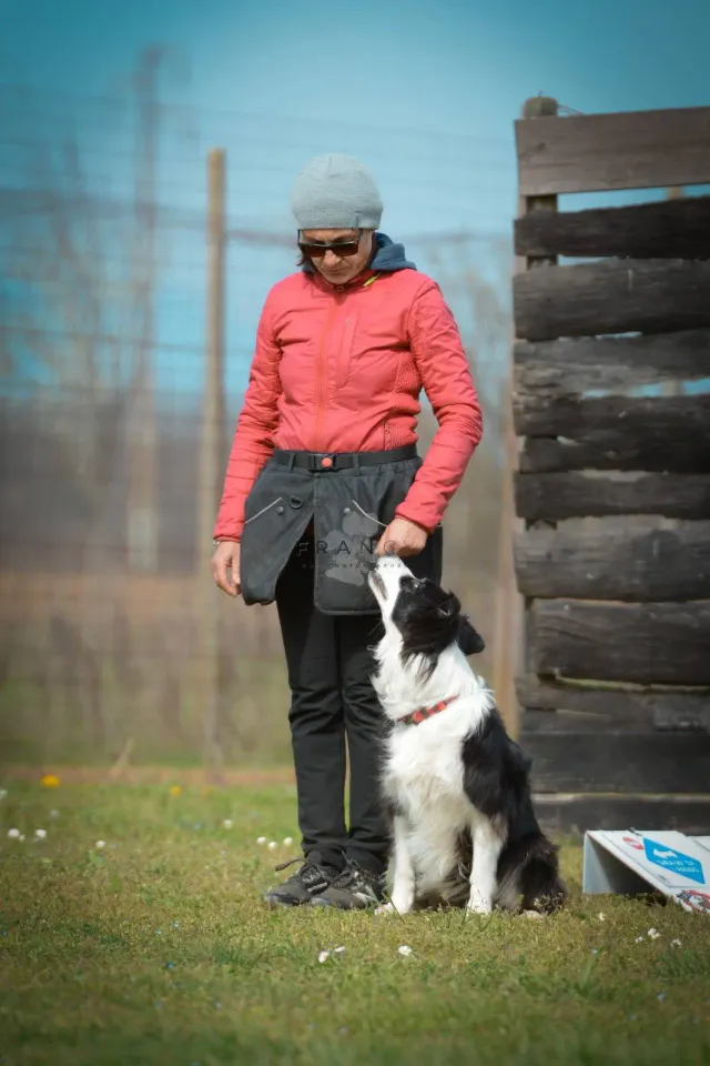 Foto GEM DOG A.S.D.: Gara di rally obedience, 22 marzo 2026, foto 3 di 4