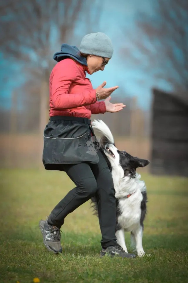 Foto GEM DOG A.S.D.: Gara di rally obedience, 22 marzo 2026, foto 4 di 4