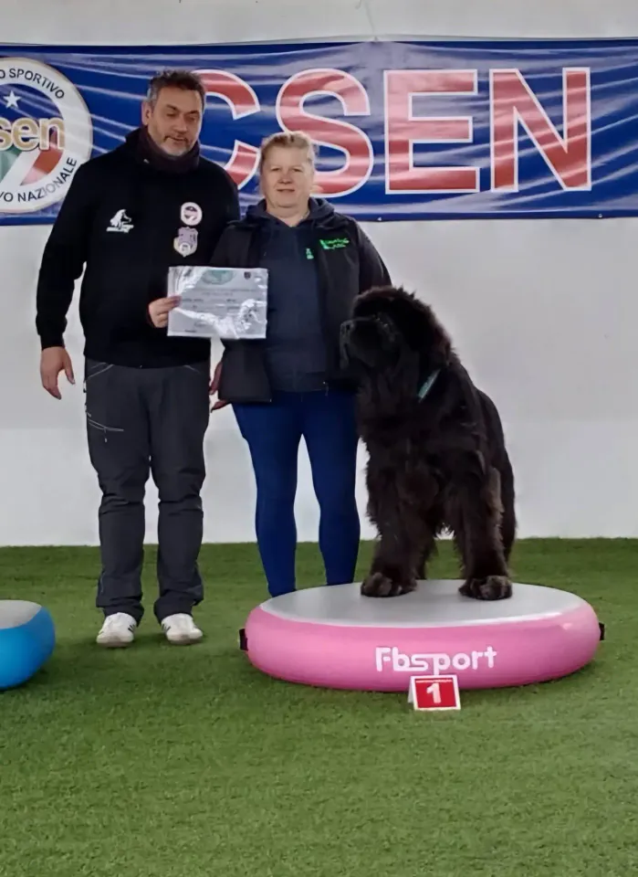 Foto GEM DOG A.S.D.: podio, Gara di dog balance CSEN, Leproso, 29 marzo 2026, foto 2 di 5