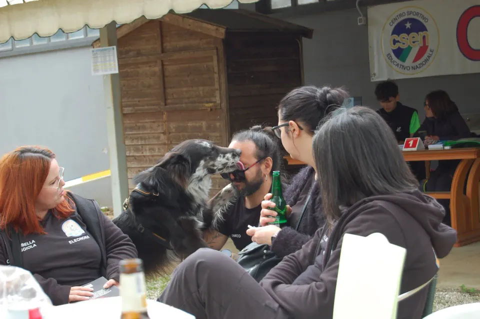Foto GEM DOG A.S.D.: Gara interregionale di mantrailing MSP, Leproso, 12 aprile 2026, foto 8 di 18
