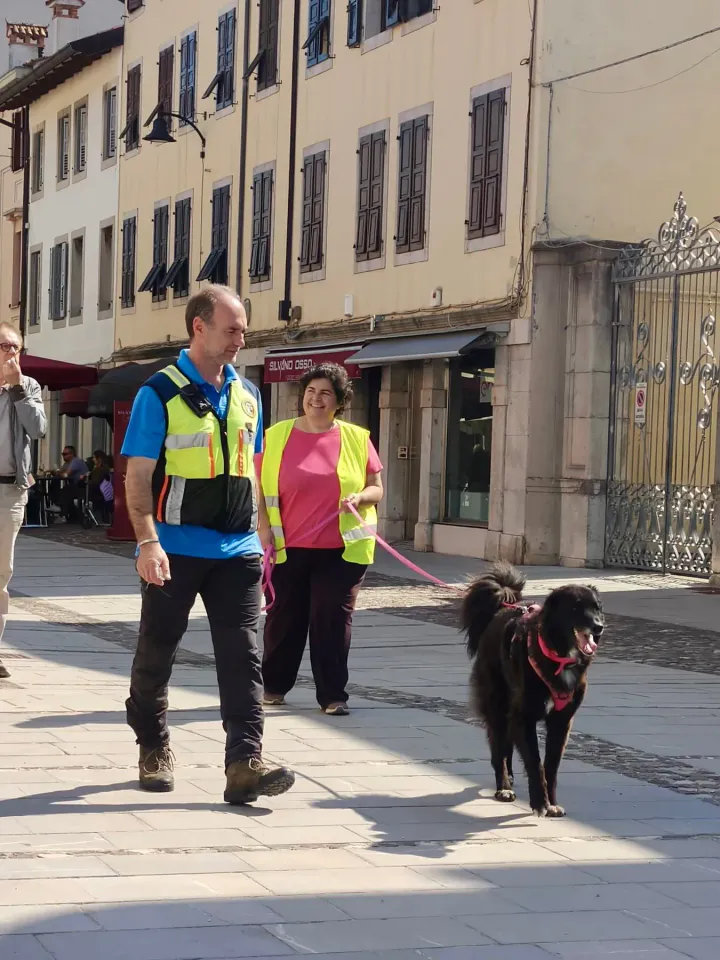 Foto GEM DOG A.S.D.: Allenamento di mantrailing, Palmanova, 19 aprile 2026, foto 1 di 10