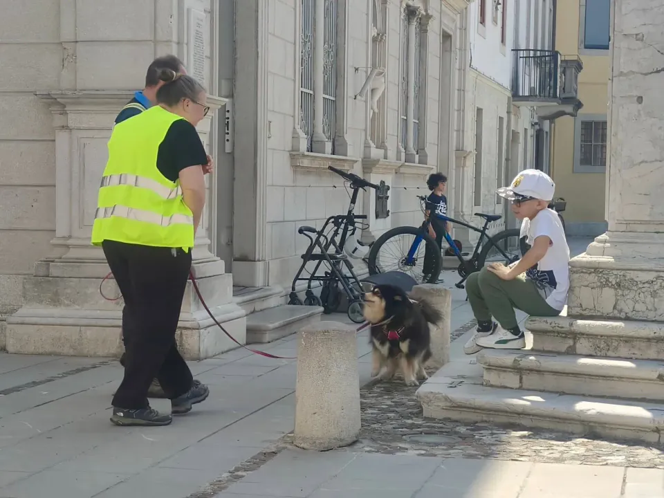 Foto GEM DOG A.S.D.: Allenamento di mantrailing, Palmanova, 19 aprile 2026, foto 5 di 10