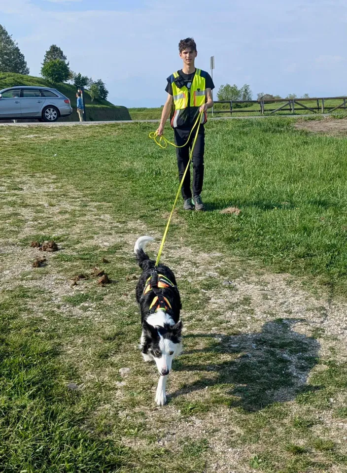 Foto GEM DOG A.S.D.: Allenamento di mantrailing, Palmanova, 19 aprile 2026, foto 6 di 10