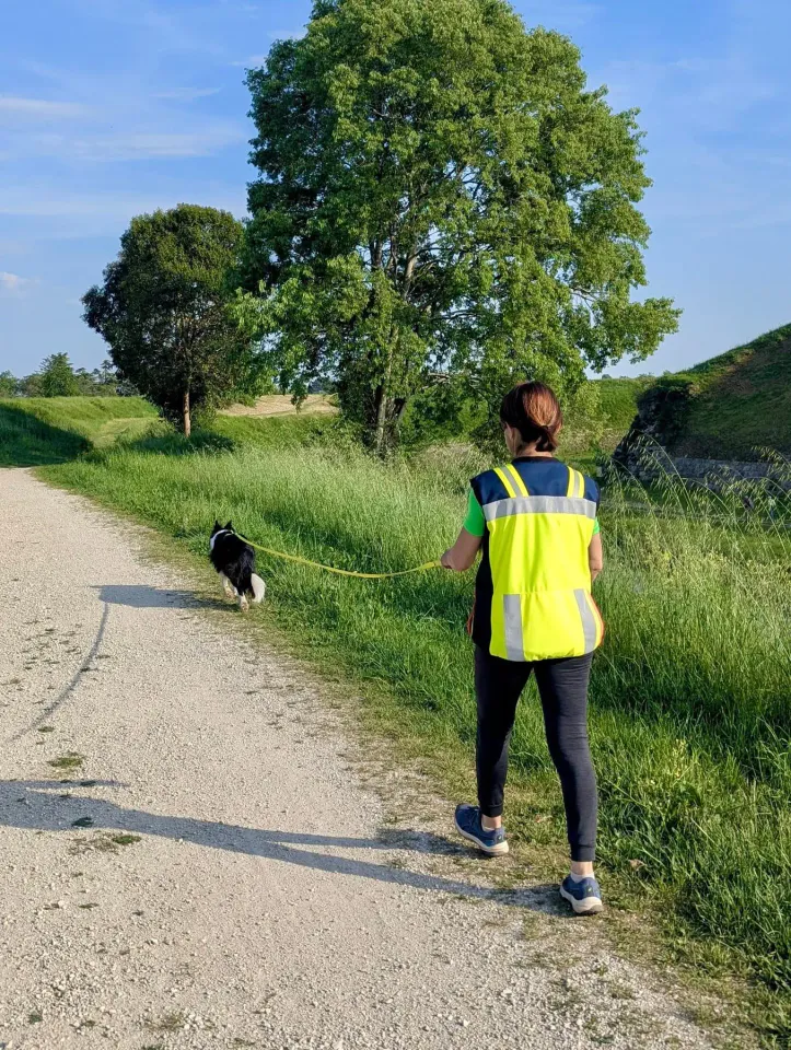 Foto GEM DOG A.S.D.: Allenamento di mantrailing, Palmanova, 19 aprile 2026, foto 7 di 10