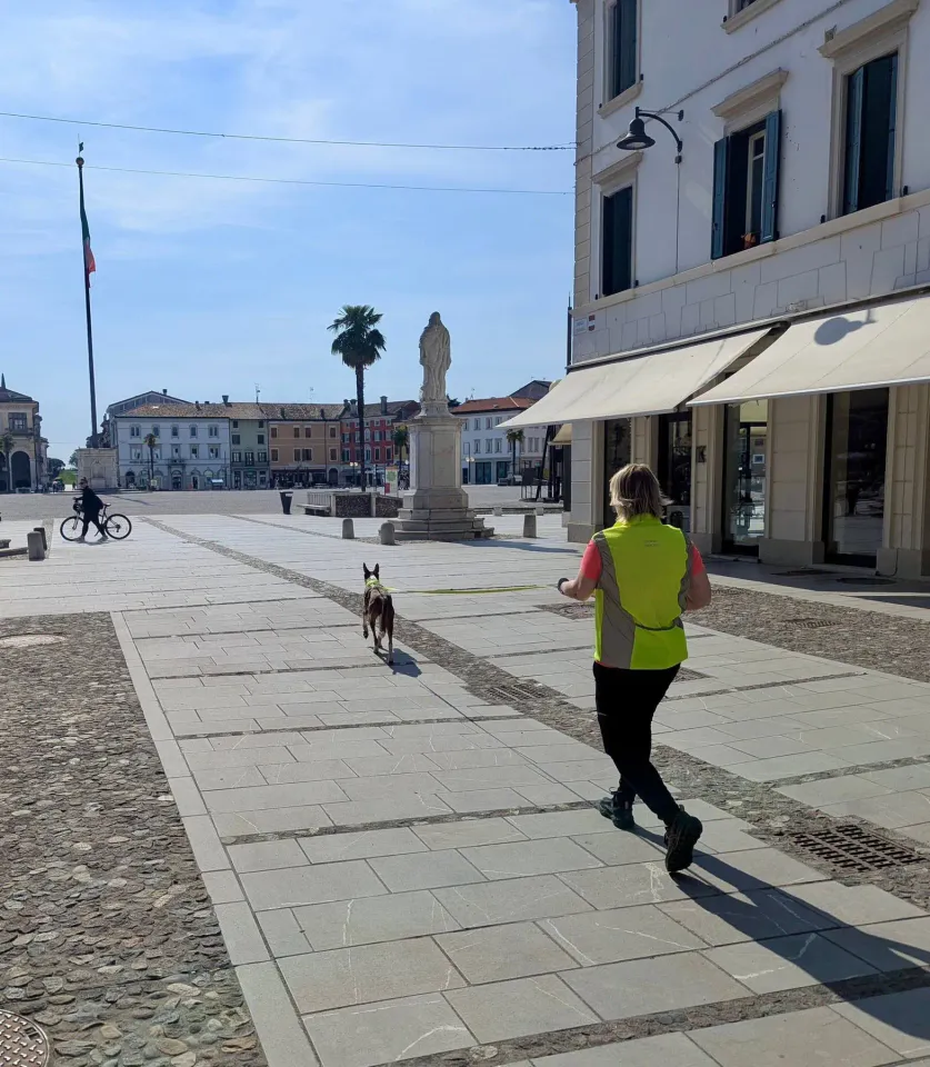 Foto GEM DOG A.S.D.: Allenamento di mantrailing, Palmanova, 19 aprile 2026, foto 8 di 10