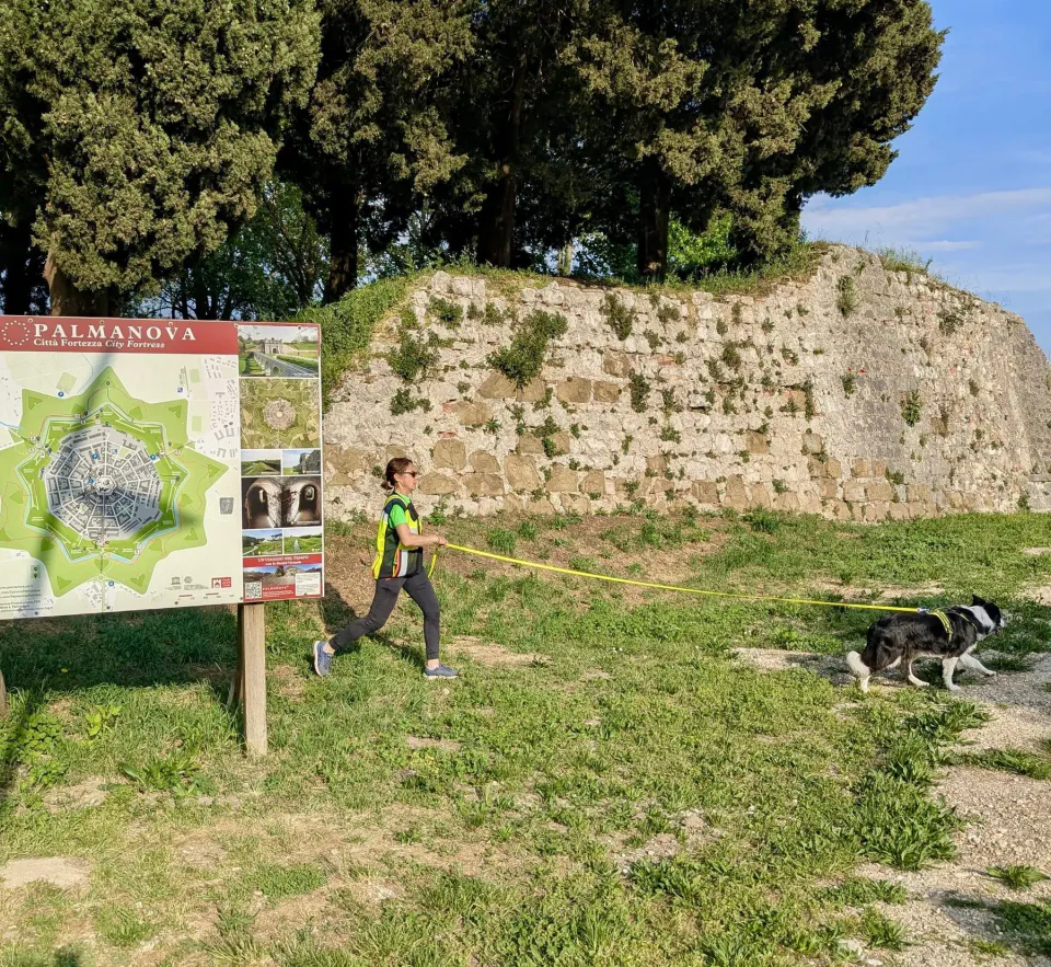 Foto GEM DOG A.S.D.: Allenamento di mantrailing, Palmanova, 19 aprile 2026, foto 9 di 10