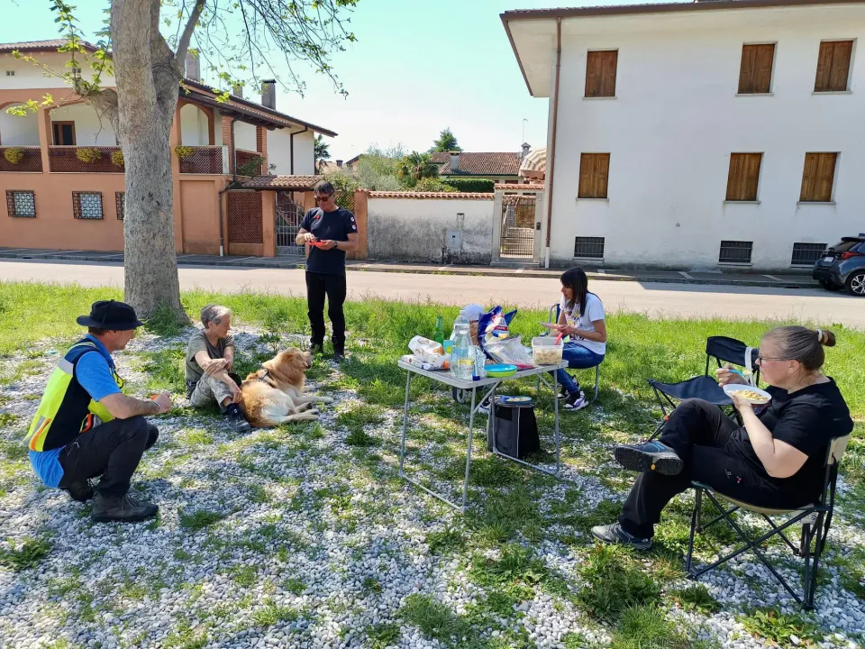 Foto GEM DOG A.S.D.: Allenamento di mantrailing, Palmanova, 19 aprile 2026, foto 10 di 10