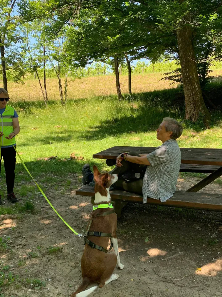 Foto GEM DOG A.S.D.: Allenamento di mantrailing, Cividale del Friuli, 23 maggio 2026, foto 1 di 5