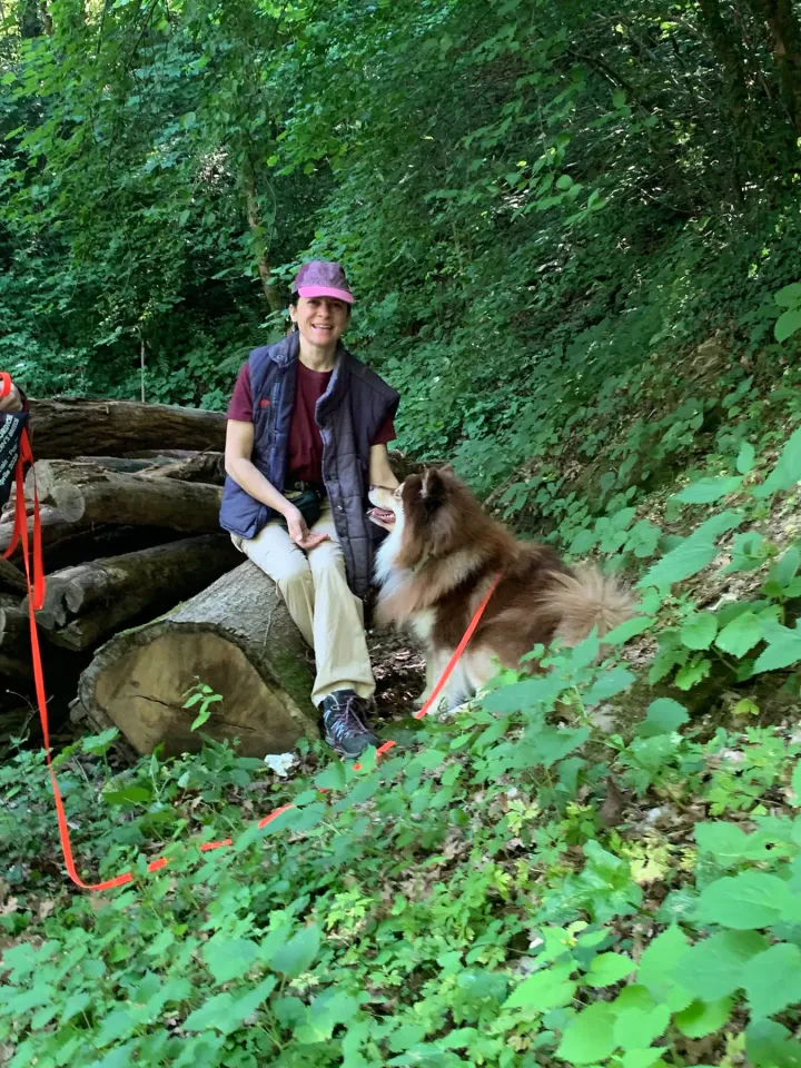 Foto GEM DOG A.S.D.: Allenamento di mantrailing, Cividale del Friuli, 23 maggio 2026, foto 4 di 5