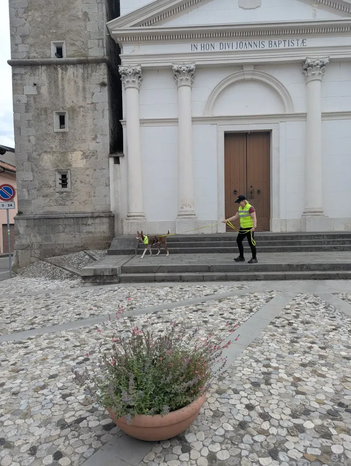 Foto GEM DOG A.S.D.: Allenamento di mantrailing, Cividale del Friuli, 2 giugno 2026, foto 5 di 7