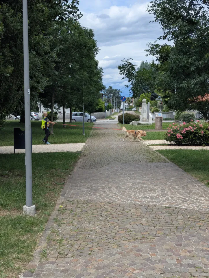 Foto GEM DOG A.S.D.: Allenamento di mantrailing, Cividale del Friuli, 2 giugno 2026, foto 7 di 7