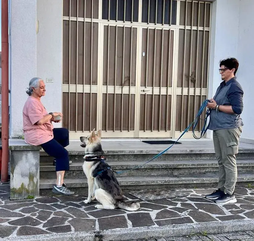 Foto GEM DOG A.S.D.: Giornata di avvicinamento al mantrailing, 14 giugno 2026, foto 1 di 3