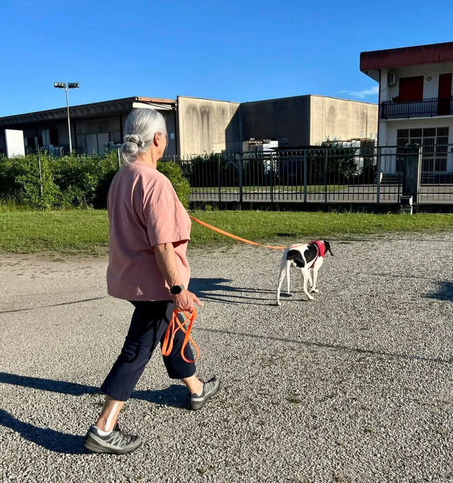 Foto GEM DOG A.S.D.: Giornata di avvicinamento al mantrailing, 14 giugno 2026, foto 2 di 3