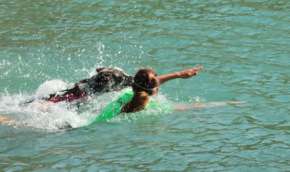 Foto GEM DOG A.S.D.: Campionato di attività natatorie FICSS, Romans d'Isonzo, 9 agosto 2026, foto 1 di 39