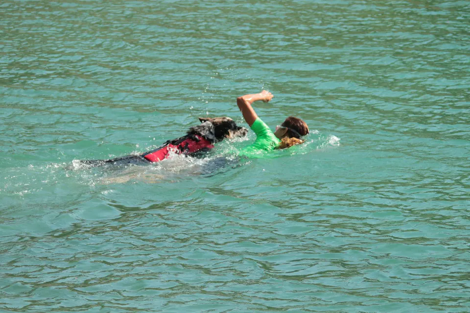 Foto GEM DOG A.S.D.: Campionato di attività natatorie FICSS, Romans d'Isonzo, 9 agosto 2026, foto 2 di 39