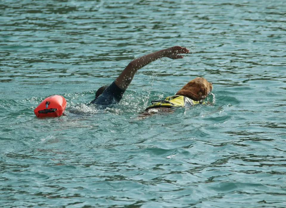 Foto GEM DOG A.S.D.: Campionato di attività natatorie FICSS, Romans d'Isonzo, 9 agosto 2026, foto 3 di 39