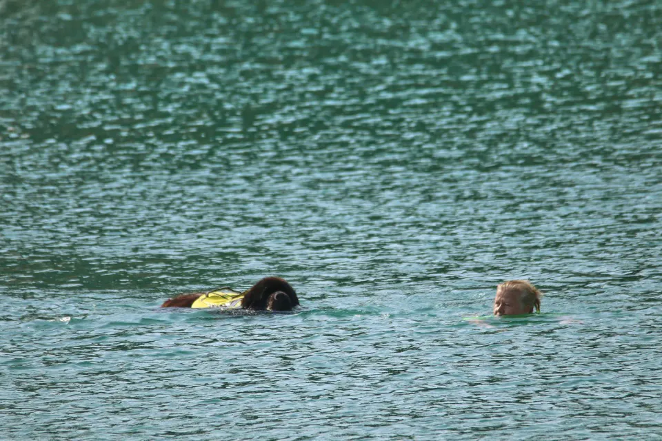 Foto GEM DOG A.S.D.: Campionato di attività natatorie FICSS, Romans d'Isonzo, 9 agosto 2026, foto 6 di 39