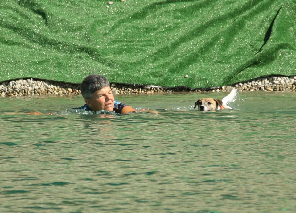 Foto GEM DOG A.S.D.: Campionato di attività natatorie FICSS, Romans d'Isonzo, 9 agosto 2026, foto 8 di 39