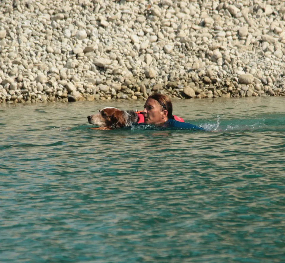 Foto GEM DOG A.S.D.: Campionato di attività natatorie FICSS, Romans d'Isonzo, 9 agosto 2026, foto 9 di 39