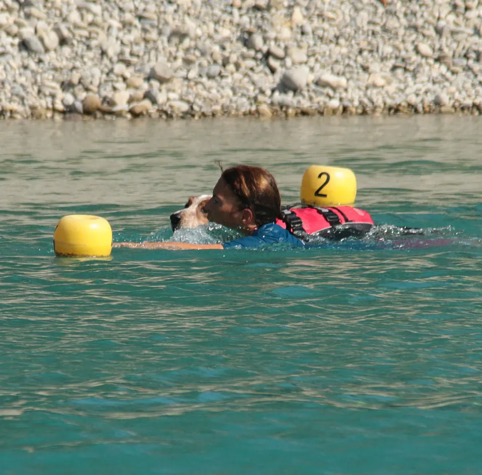 Foto GEM DOG A.S.D.: Campionato di attività natatorie FICSS, Romans d'Isonzo, 9 agosto 2026, foto 10 di 39