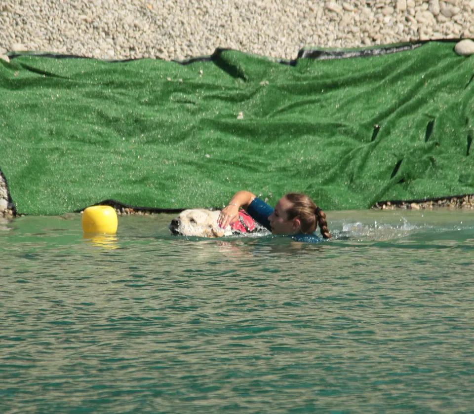 Foto GEM DOG A.S.D.: Campionato di attività natatorie FICSS, Romans d'Isonzo, 9 agosto 2026, foto 12 di 39
