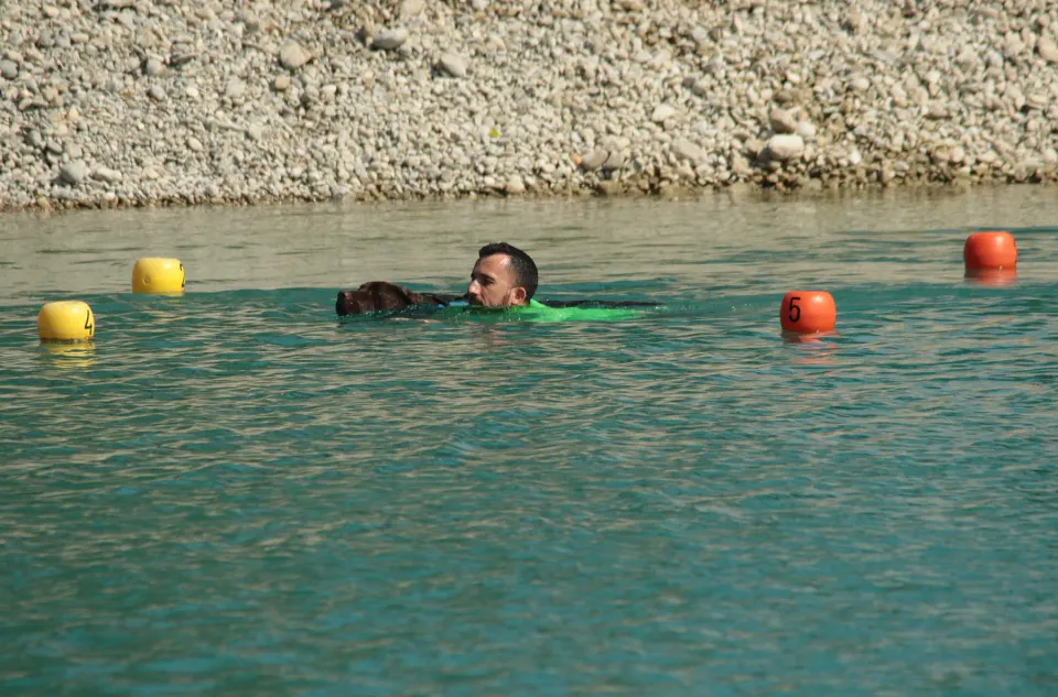 Foto GEM DOG A.S.D.: Campionato di attività natatorie FICSS, Romans d'Isonzo, 9 agosto 2026, foto 13 di 39