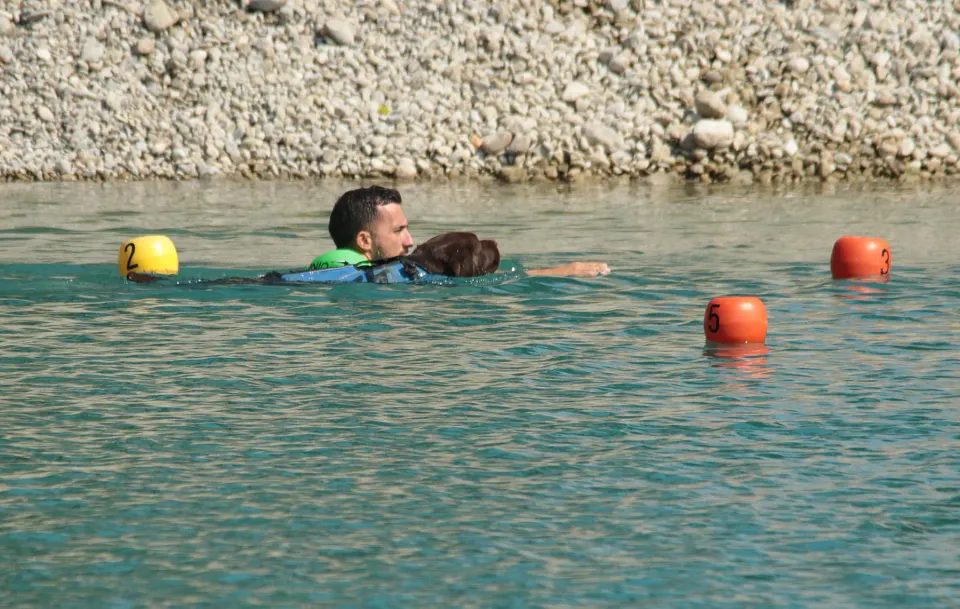 Foto GEM DOG A.S.D.: Campionato di attività natatorie FICSS, Romans d'Isonzo, 9 agosto 2026, foto 14 di 39