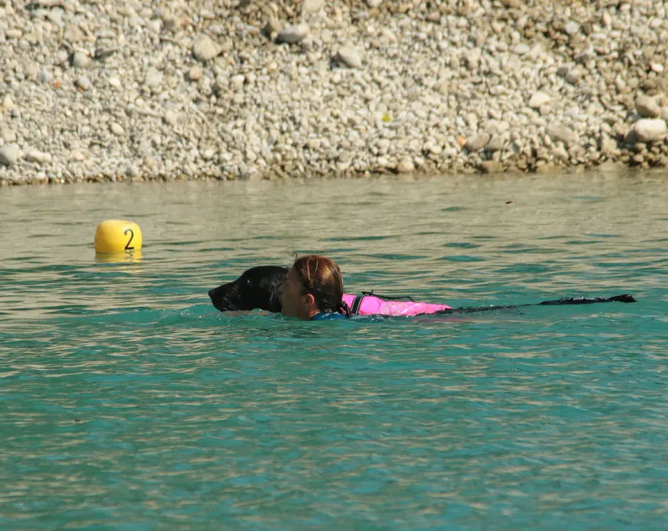 Foto GEM DOG A.S.D.: Campionato di attività natatorie FICSS, Romans d'Isonzo, 9 agosto 2026, foto 15 di 39