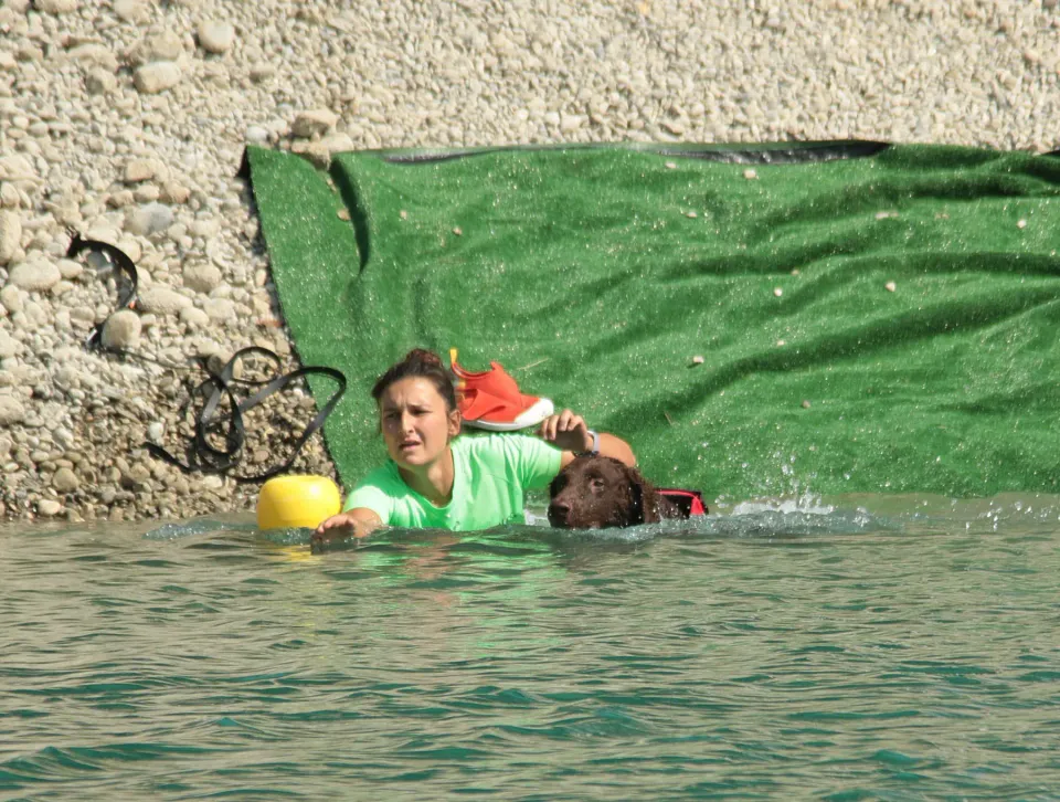 Foto GEM DOG A.S.D.: Campionato di attività natatorie FICSS, Romans d'Isonzo, 9 agosto 2026, foto 16 di 39