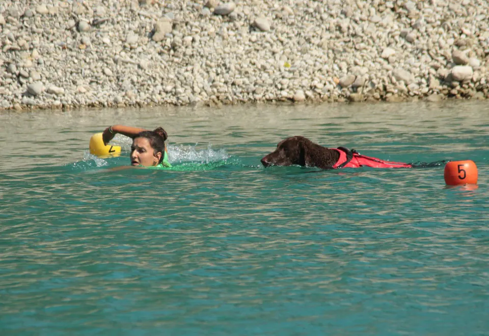 Foto GEM DOG A.S.D.: Campionato di attività natatorie FICSS, Romans d'Isonzo, 9 agosto 2026, foto 17 di 39