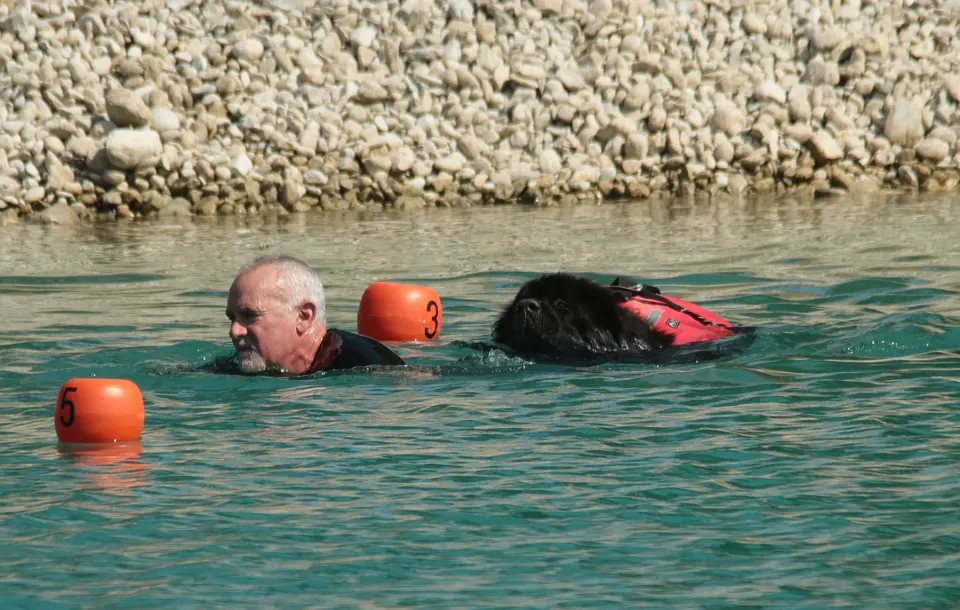 Foto GEM DOG A.S.D.: Campionato di attività natatorie FICSS, Romans d'Isonzo, 9 agosto 2026, foto 18 di 39