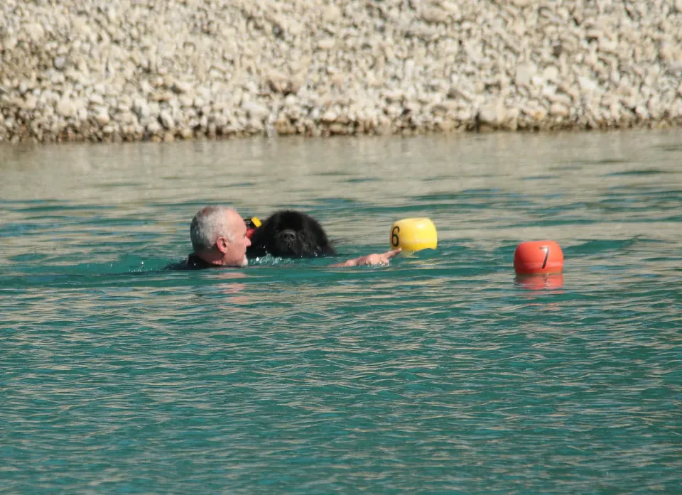 Foto GEM DOG A.S.D.: Campionato di attività natatorie FICSS, Romans d'Isonzo, 9 agosto 2026, foto 19 di 39
