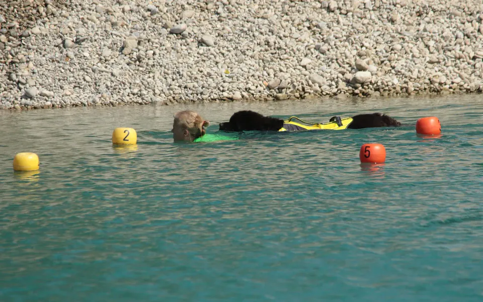 Foto GEM DOG A.S.D.: Campionato di attività natatorie FICSS, Romans d'Isonzo, 9 agosto 2026, foto 20 di 39