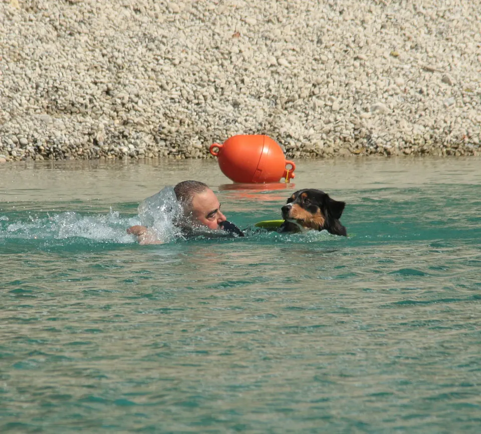 Foto GEM DOG A.S.D.: Campionato di attività natatorie FICSS, Romans d'Isonzo, 9 agosto 2026, foto 24 di 39